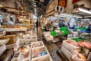At the Tsukiji Fish Market.